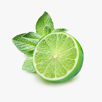 Küchendesign - Michael Biehler Küchen e.K.