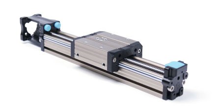 Integrated Ball Screw Linear Guide Rail