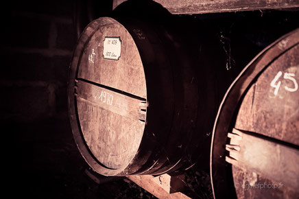 dartigalongue, bas armagnac, gers, nogaro, distillerie, ditillerie nogaro, distillerie dartigalongue, terroir,rachel jabot ferreiro, erjihef photo