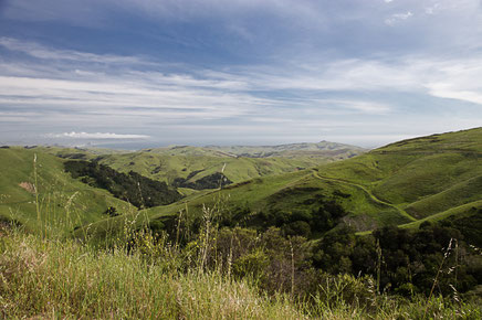 californie, états unis, united states, amérique du nord,pacifique, côte pacifique, california,road trip california, byzegut, rtl2, rachel jabot ferreiro, erjihef photo
