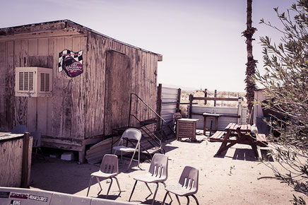the palms, twentynine palms,desert mojave, désert, yucca valley, joshua tree, road trip, road trip california, hit z road by zegut, rtl2, californie, etats unis, usa, rachel jabot ferreiro, erjihef photo