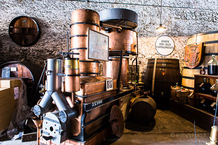 dartigalongue, bas armagnac, gers, nogaro, distillerie, ditillerie nogaro, distillerie dartigalongue, terroir,rachel jabot ferreiro, erjihef photo