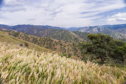californie, états unis, united states, amérique du nord,pacifique, côte pacifique, california,road trip california, byzegut, rtl2, rachel jabot ferreiro, erjihef photo,désert