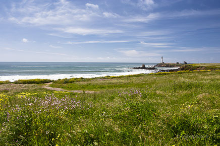 Californie, Etats Unis, Amérique, Amérique du nord, côte ouest, west coast, road trip, road trip californie, road trip californie rtl2, hit z road california, by zegut, rachel jabot ferreiro, erjihef photo, côte pacifique
