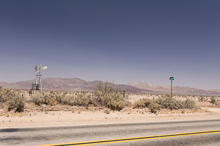 desert mojave, désert, yucca valley, joshua tree, road trip, road trip california, hit z road by zegut, rtl2, californie, etats unis, usa, rachel jabot ferreiro, erjihef photo