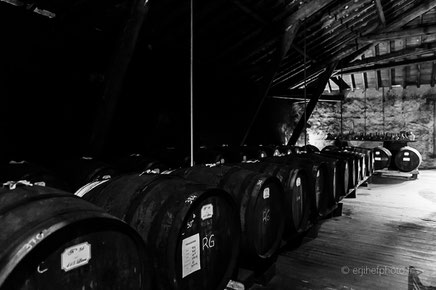 dartigalongue, bas armagnac, gers, nogaro, distillerie, ditillerie nogaro, distillerie dartigalongue, terroir,rachel jabot ferreiro, erjihef photo