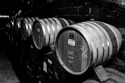 dartigalongue, bas armagnac, gers, nogaro, distillerie, ditillerie nogaro, distillerie dartigalongue, terroir,rachel jabot ferreiro, erjihef photo