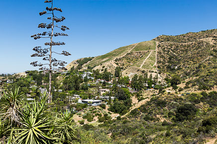 californie, états unis, usa, road trip california, hit z road california, byzegut, los angeles, L.A, rachel jabot ferreiro, erjihef photo