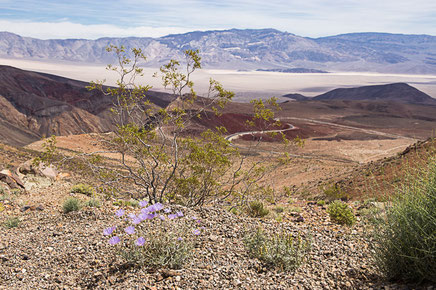 californie, desert mojaves,panamint valley, rtl2, hit z road california, poprock station, usa, états unis, rachel jabot ferreiro, erjihef photo