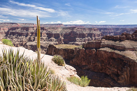 grand canyon, arizona, usa, etats unis, road trip californie, hit z road california, by zegut, rachel jabot ferreiro, erjihef photo