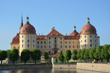 Ferienwohnung Schütze Dresden, Unterkunft, Übernachtung, Quartier, Pension,  Herberge, Nichtraucherzimmer, Balkon, möbiliert, Wohnung, Monteursunterkunft