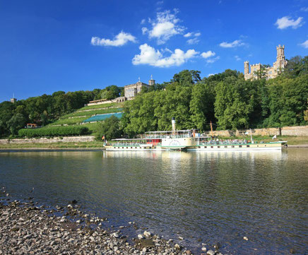 Ferienwohnung Schütze Dresden, Unterkunft, Übernachtung, Quartier, Pension,  Herberge, Nichtraucherzimmer, Balkon, möbiliert, Wohnung, Monteursunterkunft