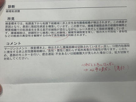⑧病理検査結果