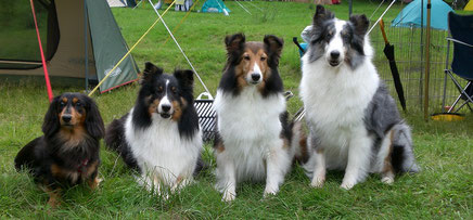 オマケ写真② 同じく9年前…両親の愛犬ミントと一緒に!