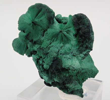 Botroidal Malachite