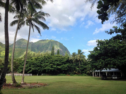 Camp Naue is nestled under the Kamani Trees at the opening of an ancient Lemurian valley