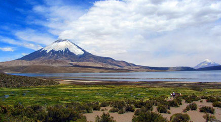 Altiplano der Atacama-Wüste