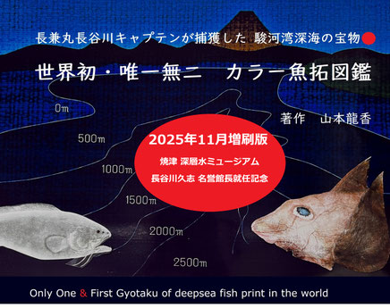 駿河湾深海ザメ希少生物カラー魚拓図鑑 - fishprintermineo ページ！