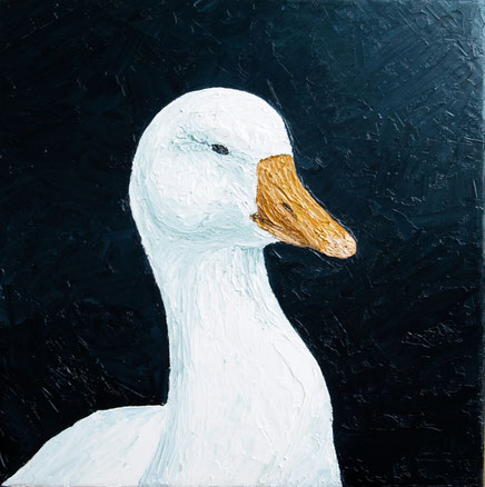 Gänseportrait (Öl auf Leinwand, 30 x 30 cm, verkauft)