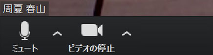 参加者も自分の音声やビデオのオンオフを操作することができます。