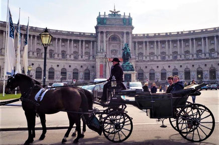 Stadtrundfahrt Wien