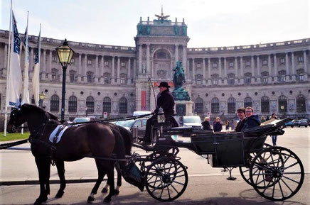Stadtrundfahrt Wien sind nicht nur für Touristen. Jährlich fahren eine große Anzahl von Wiener, welche überrascht sind welche Geheimnisse die Stadt hat