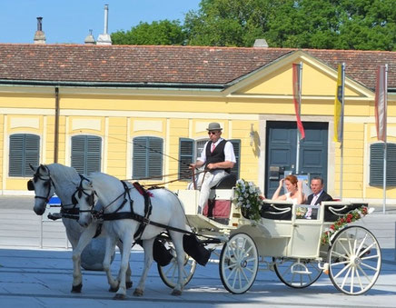 Vor der Hochzeitskutsche unser Oldi Fips mit seinen Freund EDI