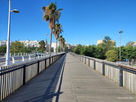 Aunque es más una pasarela peatonal que un puente, siempre se le ha conocido como El Pont de Fusta (Puente de Madera) originalmente era totalmente de madera en la misma ubicación que hoy.