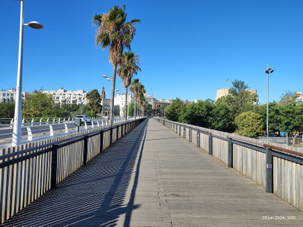 Aunque el Puente de Madera de Valencia es más una pasarela peatonal que un puente, siempre se le ha conocido como El Pont de Fusta (Puente de Madera) originalmente era totalmente de madera en la misma úbicación que hoy.