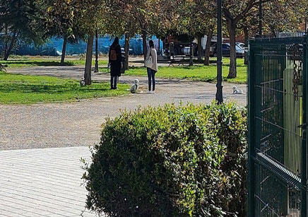 Zonas de esparcimiento canino: Solo se permite llevar al perro suelto en áreas específicamente delimitadas para ello, como los "pipicanes" o parques caninos. 