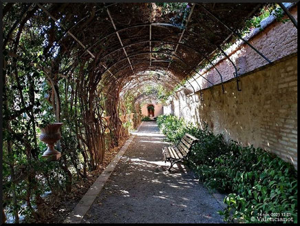 Túnel de la Buganvillas en el jardín de Monforte de Valencia