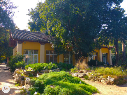 El Jardín Botánico de la Universidad de Valencia es un museo vivo situado en el casco histórico de la ciudad, un espacio universitario abierto al público. 