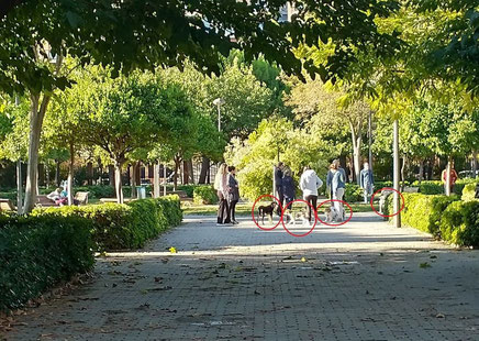 La ley es muy clara para nuestras mascotas en los parques y jardines de Valencia y no se respeta.
