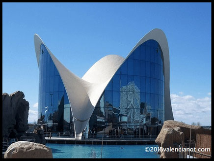 Oceanogràfic: El acuario más grande de Europa. Alberga ecosistemas marinos de todo el mundo, incluyendo el Ártico, mares tropicales y un espectacular túnel de tiburones.