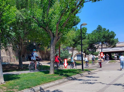 Aquí en los Jardines del Turia los patines y bicis tienen que ceder el paso a los peatones, pero nadie lo hace.