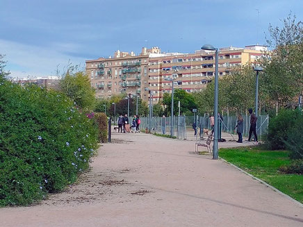 Parque de Malilla. Zona de socialización  para las mascotas