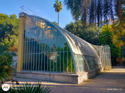 Orquidario: Con una gran variedad de orquídeas en el Jardín Botánico de Valencia.