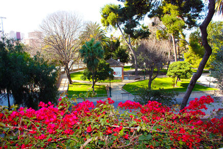 Vista del Jardín desde la Montañeta del Jeneral Elío, fusilado aquí por orden rel rey.