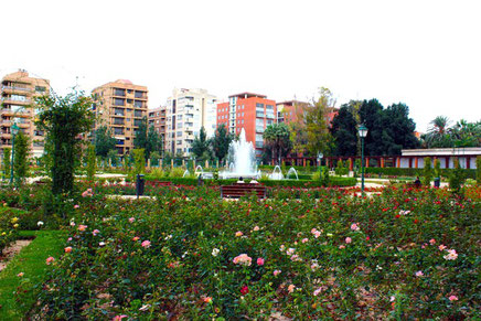  Rosaleda  Dr. López Rosat en los Viveros en  Valencia