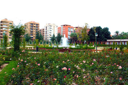  Rosaleda  Dr. López Rosat en los Viveros en  Valencia. La Rosaleda: Un espacio central con una gran fuente y más de 100 especies diferentes de rosas que florecen en primavera.