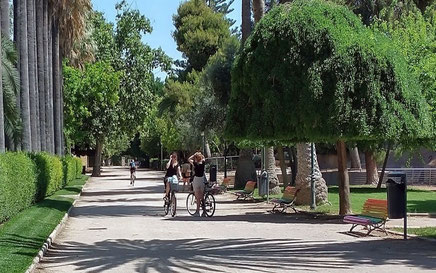 En Viveros en Valencia, hace un tiempo pasear por sus jardines era un placer. Hoy día es un infierno, tener que mirar a todos los lados cuando caminas para evitar ser atropellado.