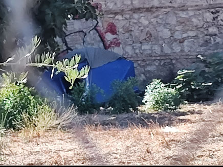 Nuestros  barrios de la ciudad de Valencia son  receptores de inmigrantes, como son Ruzafa, Orriols, Monteolivete etc. donde la convivencia no existe y el futuro en toda la ciudad de Valencia es muy problemático.  