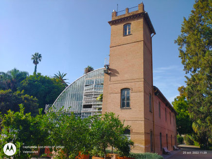 El Umbracle de Valencia, se caracteriza por tener una gran variedad de especies de plantas elegidas por su forma y color, con el objetivo de crear un ambiente fresco y con sombras. 