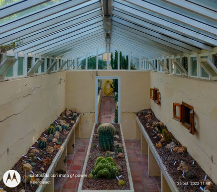 El Jardín Botánico de Valencia cuenta  con la Casa del Romero, un vivero, especializado en cactus, plantas crasas y otras variedades del desierto. 