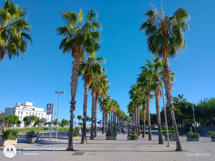 La Playa de la Malvarrosa, chiringuitos y el adyacente Puerto Deportivo (conocido como La Marina de València) constituyen el epicentro del ocio marítimo en València. 