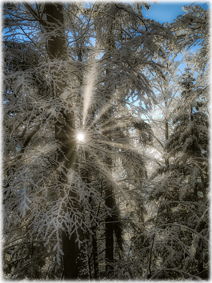 Die Triberger Wintersonne