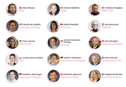 Das Netzwerk von MENTOR besteht aus renommierten Forschenden und anerkannten TSC-Expertinnen und – Experten und arbeitet über Ländergrenzen hinweg.