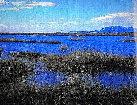 Parque Natural del Prat de Cabanes-Torreblanca (Castellón).