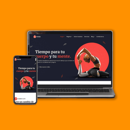 seo guadalajara