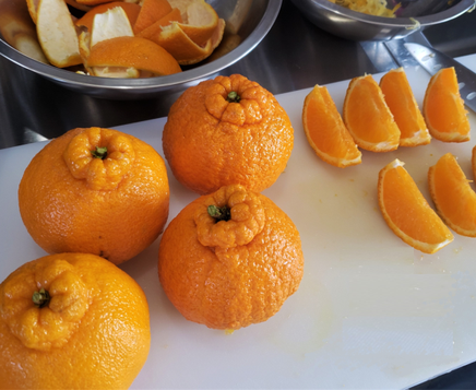 不知火マーマレード - CitrusーLine(シトラスライン)愛媛県宇和島市 不知火マーマレード - CitrusーLine(シトラスライン)愛媛県宇和島市